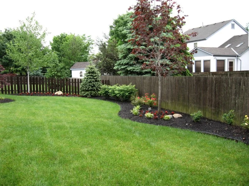 How to Create Visual Flow Between Front and Back Yards