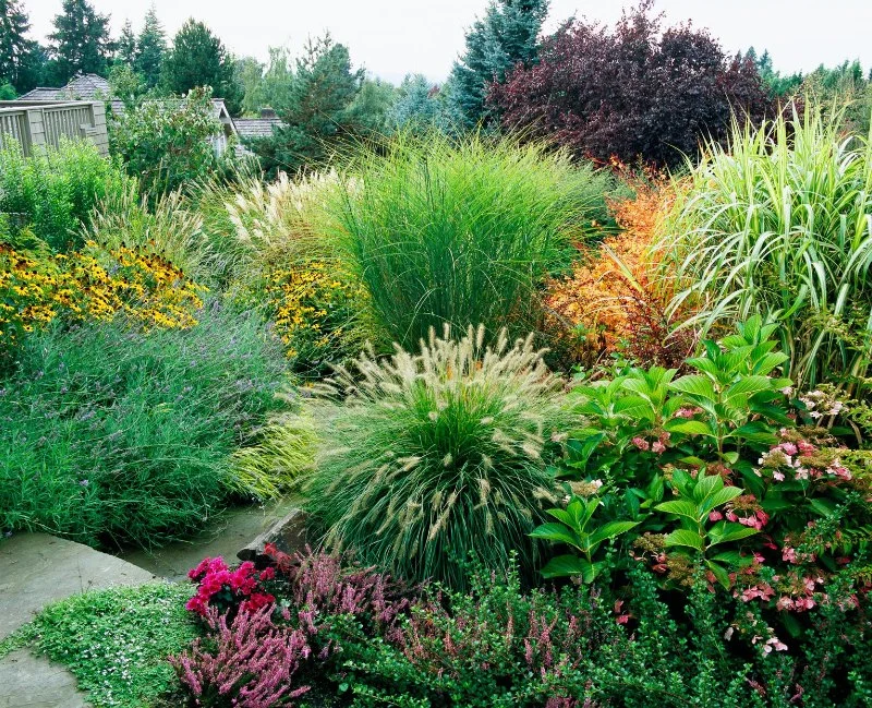 How to Landscape With Ornamental Grasses for a Beautiful Garden