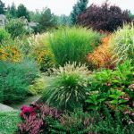 How to Landscape With Ornamental Grasses for a Beautiful Garden