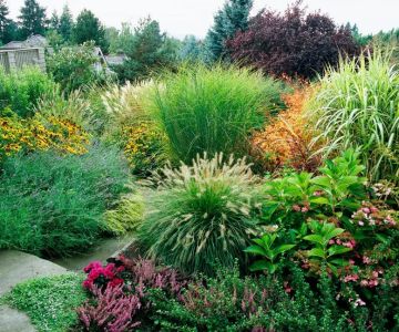 How to Landscape With Ornamental Grasses for a Beautiful Garden