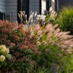 How to Landscape With Ornamental Grasses