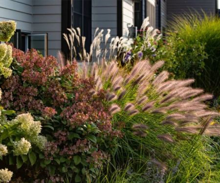 How to Landscape With Ornamental Grasses