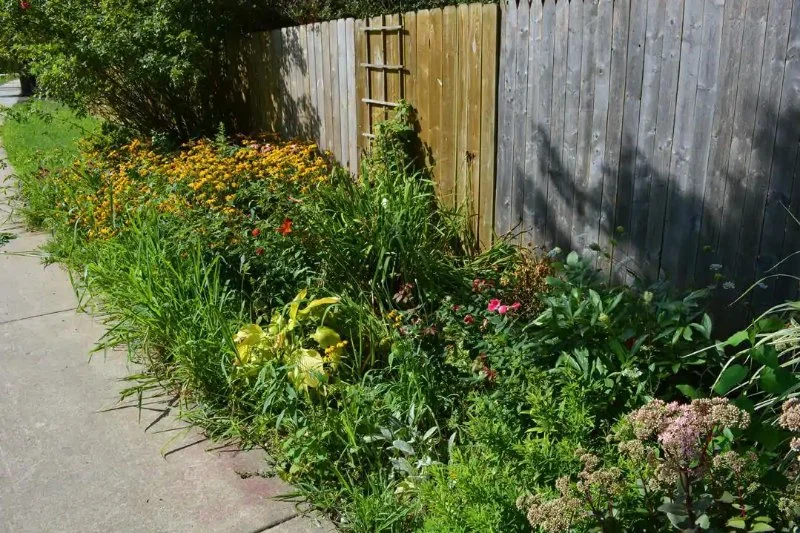 How to Rejuvenate an Overgrown Garden on a Budget