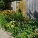How to Rejuvenate an Overgrown Garden on a Budget