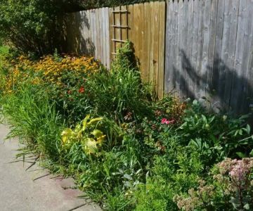 How to Rejuvenate an Overgrown Garden on a Budget