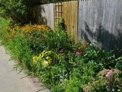 How to Rejuvenate an Overgrown Garden on a Budget