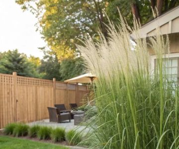 How to Use Ornamental Grasses as Soft Barriers | Beautiful Landscapes