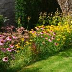 How to Use Native Wildflowers to Enhance Natural Curb Appeal