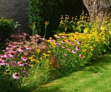 How to Use Native Wildflowers to Enhance Natural Curb Appeal