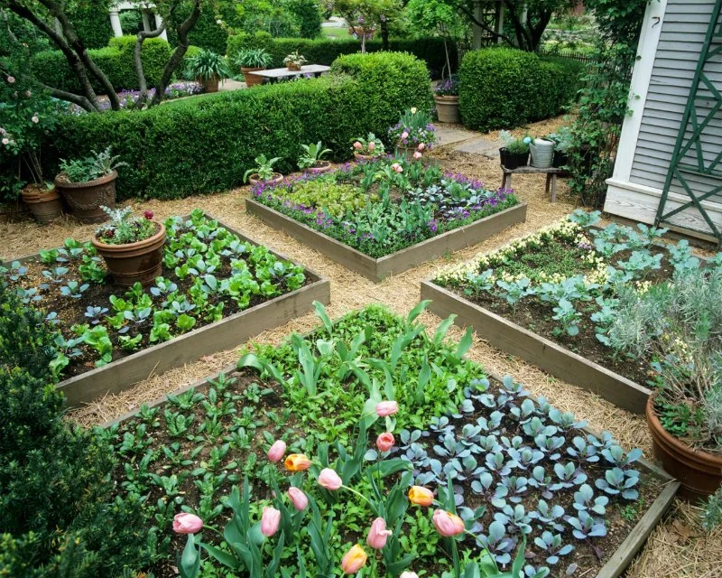 How to Plan a Garden in Phases to Spread Cost