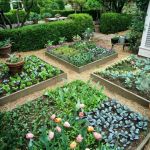 How to Plan a Garden in Phases to Spread Cost