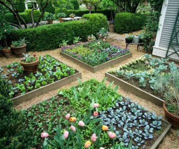 How to Plan a Garden in Phases to Spread Cost