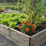 How to Use Planters to Extend Planting Zones for a Thriving Garden