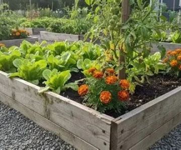 How to Use Planters to Extend Planting Zones for a Thriving Garden