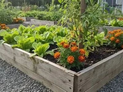 How to Use Planters to Extend Planting Zones for a Thriving Garden