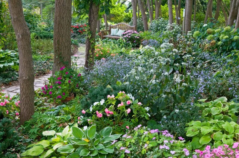 How to Create a Garden That Thrives in Shade