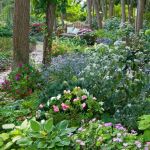 How to Create a Garden That Thrives in Shade