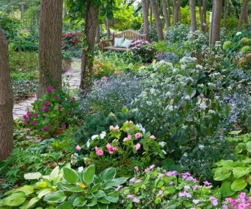 How to Create a Garden That Thrives in Shade
