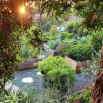 How to Restore Native Habitat in Your Backyard