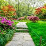 How to Transition Your Landscape Between Seasons