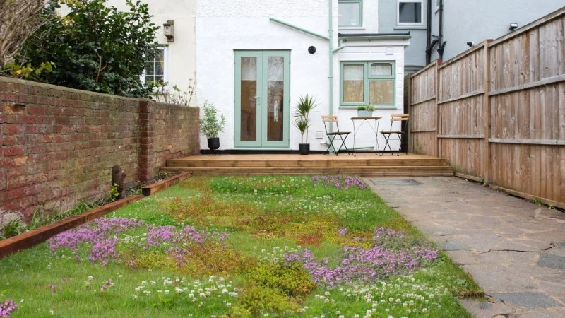 The Rise of Tapestry Lawns: Living Ground Cover Alternatives for Modern Yards