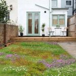 The Rise of Tapestry Lawns: Living Ground Cover Alternatives for Modern Yards