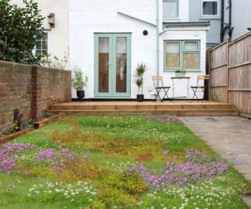 The Rise of Tapestry Lawns: Living Ground Cover Alternatives for Modern Yards