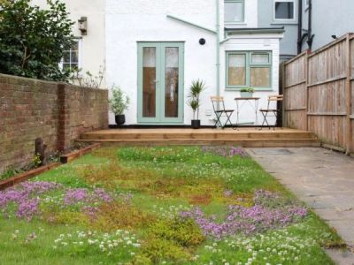 The Rise of Tapestry Lawns: Living Ground Cover Alternatives for Modern Yards