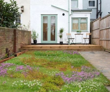 The Rise of Tapestry Lawns: Living Ground Cover Alternatives for Modern Yards