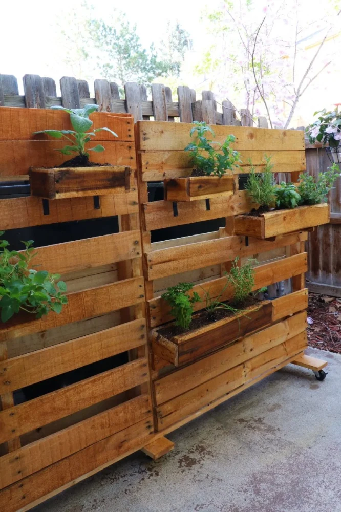 How to Build a Vertical Herb Wall for Cooking Convenience at Home