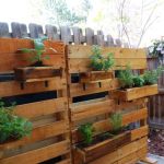 How to Build a Vertical Herb Wall for Cooking Convenience at Home