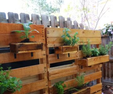 How to Build a Vertical Herb Wall for Cooking Convenience at Home