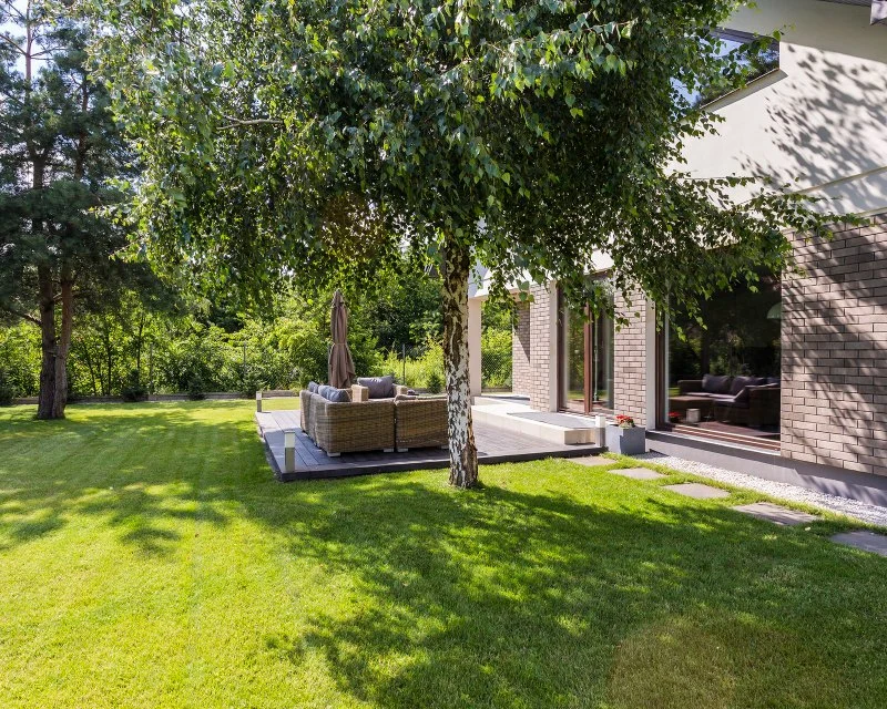 How to Use Shade Trees to Lower Cooling Costs and Improve Home Efficiency