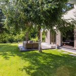 How to Use Shade Trees to Lower Cooling Costs and Improve Home Efficiency