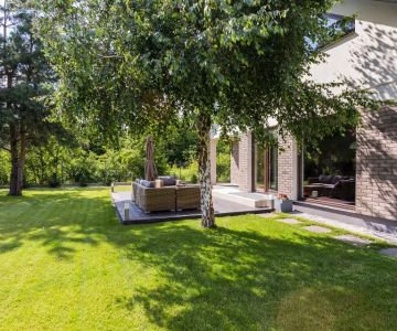 How to Use Shade Trees to Lower Cooling Costs and Improve Home Efficiency
