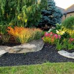 How to Stage a Garden for Seasonal Changes Throughout the Year
