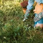 How to Prevent & Treat Common Lawn Diseases for a Healthy Green Yard