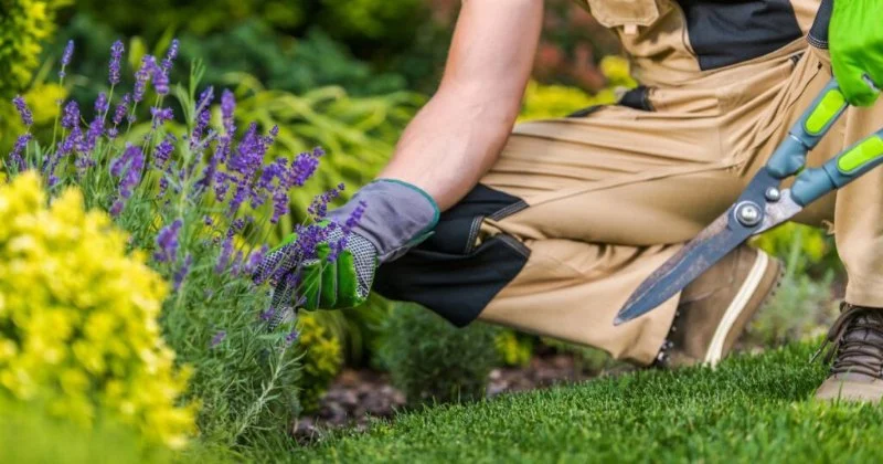 How Much Does It Cost to Hire a Landscaper in 2025? Full Pricing Guide