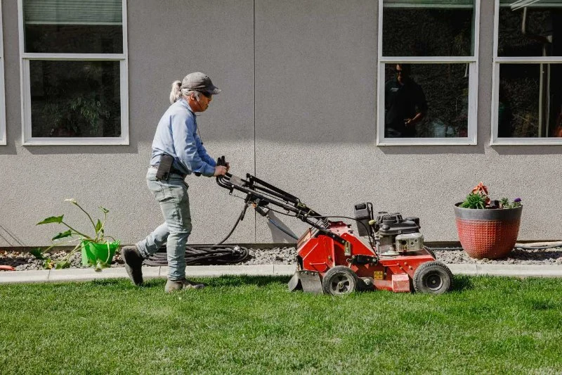 How to Prevent & Treat Common Lawn Diseases