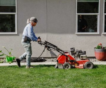 How to Prevent & Treat Common Lawn Diseases