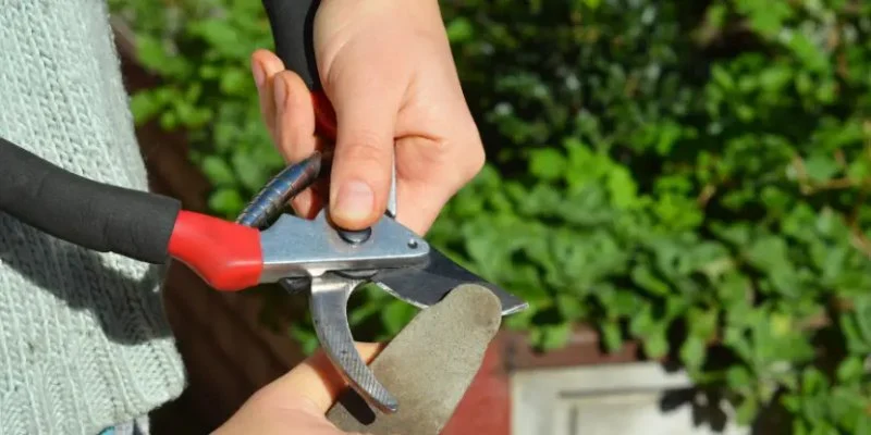 How to Maintain Your Garden Tools for Longevity