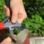 How to Maintain Your Garden Tools for Longevity
