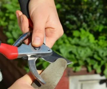 How to Maintain Your Garden Tools for Longevity