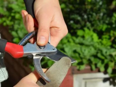 How to Maintain Your Garden Tools for Longevity