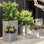 How to Landscape With Large Pots and Statement Planters for Modern Homes