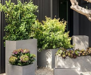 How to Landscape With Large Pots and Statement Planters for Modern Homes