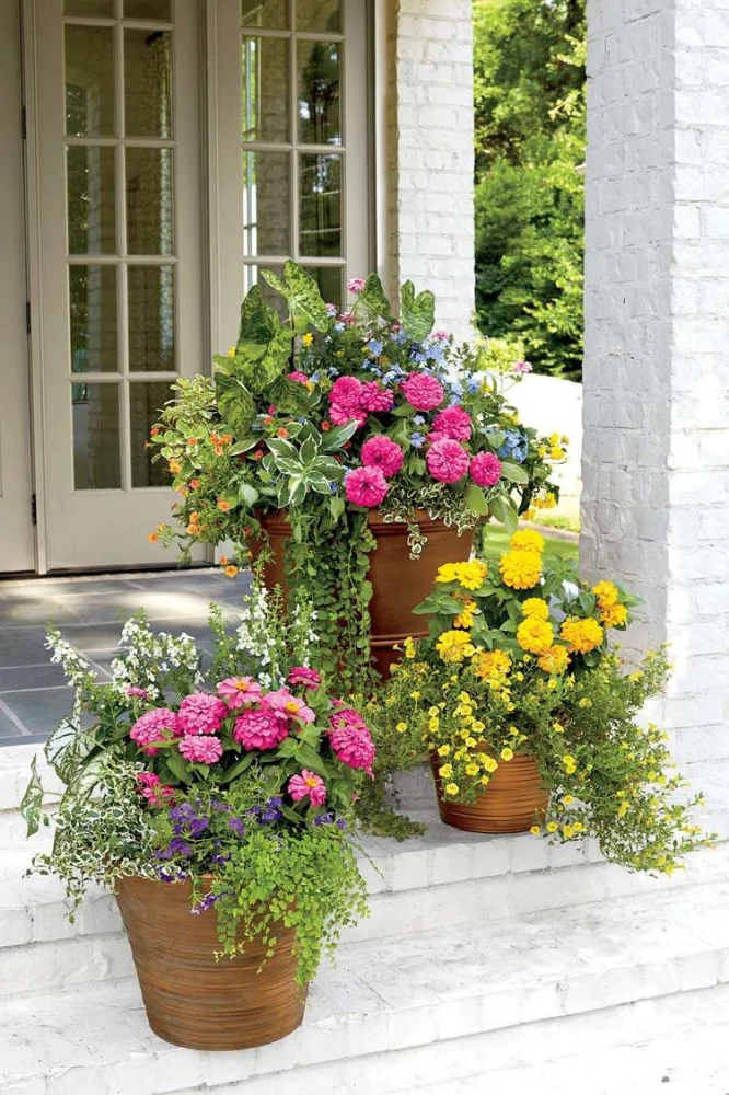 How to Use Container Gardens to Frame Doorways for Stunning Curb Appeal