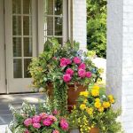 How to Use Container Gardens to Frame Doorways for Stunning Curb Appeal