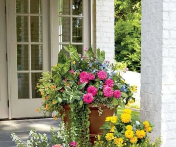 How to Use Container Gardens to Frame Doorways for Stunning Curb Appeal