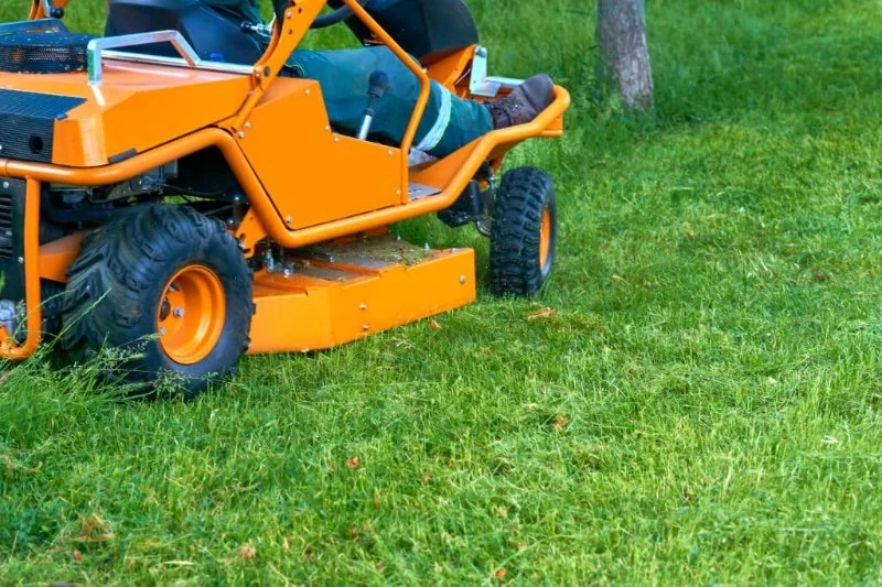 DIY vs Professional Landscaping: Pros, Cons & Cost